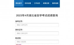 湖北省教育考試院成績查詢