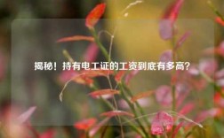 揭秘！持有電工證的工資到底有多高？