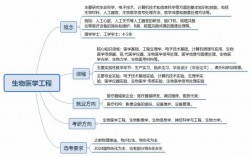 生物醫(yī)學(xué)科學(xué)就業(yè)方向