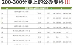二百多分能上什么專科學(xué)校
