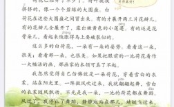 荷花說荷葉是我的什么