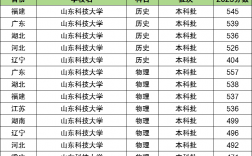 2024年山東科技大學(xué)全國(guó)排名