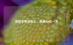急招水電安裝工，高薪350元一天