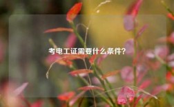 考電工證需要什么條件？