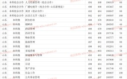 山東青年政治學(xué)院分?jǐn)?shù)線(xiàn)
