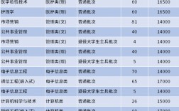 江蘇大學(xué)京江學(xué)院是幾本