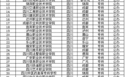 2024年四川民辦大專院校排名