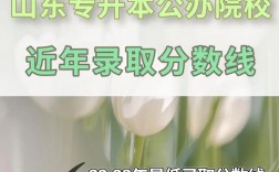 山東招收專升本的學校 報考條件有哪些