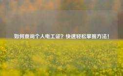 如何查詢個(gè)人電工證？快速輕松掌握方法！