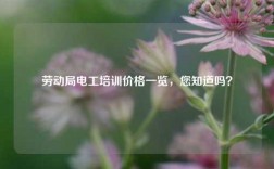 勞動局電工培訓價格一覽，您知道嗎？