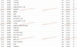 濰坊學(xué)院專科最低分