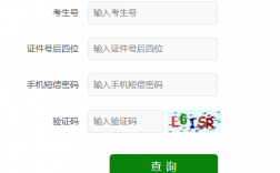山東省教育考試院官網(wǎng)入口（https://www.sdzk.cn/）