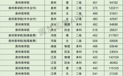 2024年貴州商學(xué)院藝術(shù)類(lèi)錄取分?jǐn)?shù)線