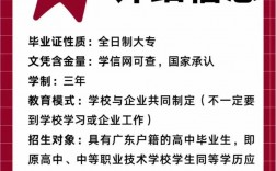 全日制大專報(bào)名入口官網(wǎng)www.neea.edu.cn