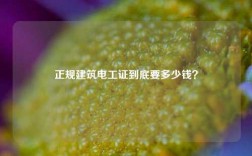 正規建筑電工證到底要多少錢？