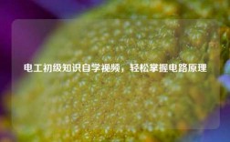 電工初級知識自學(xué)視頻，輕松掌握電路原理