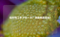 臨時電工多少錢一天？調(diào)查揭露真相！