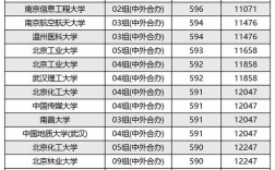 中央財(cái)經(jīng)大學(xué)中外合作辦學(xué)分?jǐn)?shù)線(詳解)