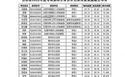 補錄是只有進面試才可以參加嗎 多少分有希望