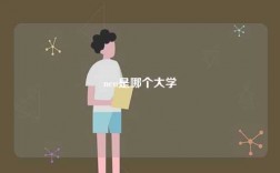 neu是哪個(gè)大學(xué)