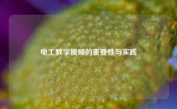 電工教學(xué)視頻的重要性與實(shí)踐
