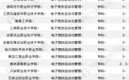 電競(jìng)學(xué)校需要多少分才能上？具體要求是什么？