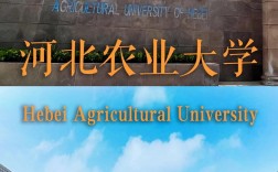 河北農大是幾本學校