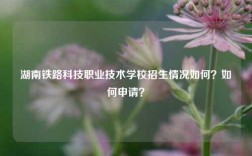 湖南鐵路科技職業技術學校招生情況如何？如何申請？