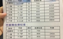 舞蹈藝考費(fèi)用大概要多少錢
