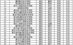 湖北大專學(xué)校有哪些學(xué)校