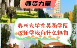 蘇州大學(xué)東吳商學(xué)院是幾本
