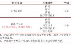 2025合肥醫(yī)藥衛(wèi)生學(xué)校3+2招生專業(yè)全解析｜報(bào)考指南+面試要求，助你精準(zhǔn)規(guī)劃醫(yī)學(xué)之路