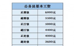 中國公務員職位分類中體現工資待遇的是