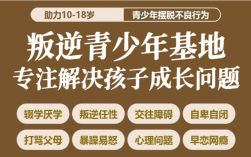  可以拯救青春期孩子網(wǎng)癮大/脾氣大/不愿意去學(xué)校的特訓(xùn)營推薦