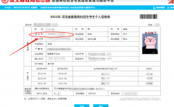 考生號(hào)查詢系統(tǒng)