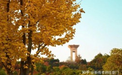 風(fēng)景園林考研不壓分的學(xué)校(風(fēng)景園林考研院校推薦)