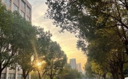 權威招生信息 | 安徽工貿(mào)職業(yè)學校2025年"3+2"五年制高職分段培養(yǎng)計劃