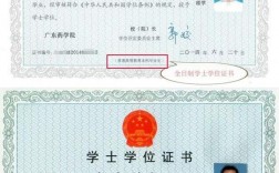 自考本科學位證怎么考取