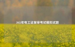2023年電工證復(fù)審考試模擬試題