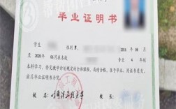 大專學(xué)歷30天出證