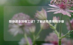 想快速拿到電工證？了解這些費用和步驟