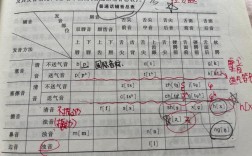 語(yǔ)音的本質(zhì)屬性是什么