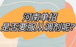 單招服從調(diào)劑是什么意思