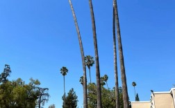 加州理工大學(Caltech)相當于國內什么檔次？什么水平？