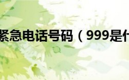 999是什么電話號(hào)碼
