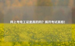 網(wǎng)上考電工證是真的嗎？揭開(kāi)考試真相！