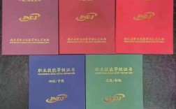 三級是中級還是高級(計算機三級證書的報名要求)