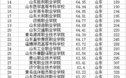 山東職業(yè)學(xué)院排名(山東十大最好的職業(yè)院校)