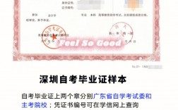 深圳小自考機(jī)構(gòu)半路轉(zhuǎn)專業(yè)(正規(guī)的自考機(jī)構(gòu)哪家好)