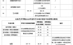2024年山東藝術(shù)學(xué)院錄取分?jǐn)?shù)線